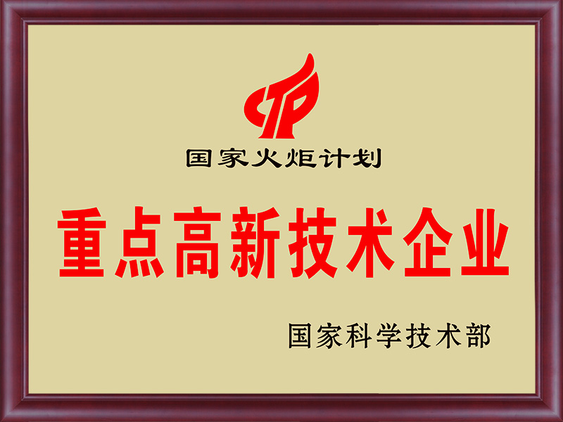 國家級高新技術(shù)企業(yè)